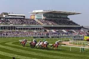 Are all racecourses essentially the same? 